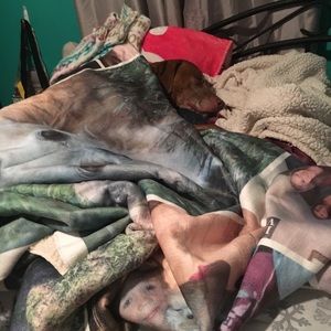 Meet your Posher, Kallie